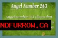 263 Angel Number Meaning - Pulptastic