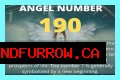
ANGEL NUMBER 190
