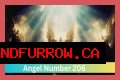 
ANGEL NUMBER 206
