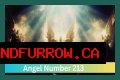 
ANGEL NUMBER 213
