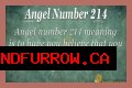
ANGEL NUMBER 214

