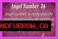 
ANGEL NUMBER 36

