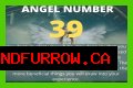 
ANGEL NUMBER 39
