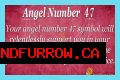 
ANGEL NUMBER 47

