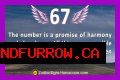 
ANGEL NUMBER 67
