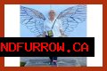 Bobbi Virta Obituary And Funeral Details Former
