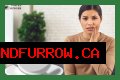 Can You Drink Coffee After Having A Tooth Pulled?