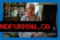 Christopher Tolkien Net Worth, Age, Height, Bio, Birthday, Wiki!