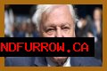 David Attenborough Net Worth, Age, Height, Bio, Birthday, Wiki!