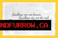 Farewell To A Beloved Husband, Father, And Friend