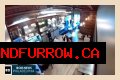Four masked individuals remove Israeli flags at a Philadelphia cafe. - SarkariResult