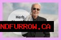 Herb Alpert Net Worth – How Much is Herb Alpert Worth?