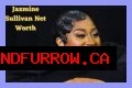 
How Much Money Does Jazmine Sullivan  Make? Latest Income Salary
