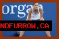 
How Much Money Does Karolína Plíšková Make? Latest Income Salary
