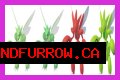 Pokemon Go Bug Out event live - shiny Scyther and Scizor available