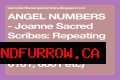 
Repeating Angel Numbers - 1's and 6's  (1166, 1161, 6161, 6611, 661 etc)
