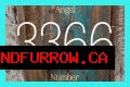 
Repeating Angel Numbers - 3's and 6's  (3366, 3636, 6633, 6363 etc)
