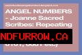 
Repeating Angel Numbers - 6's and 1's  (6611, 6161, 6661 etc)
