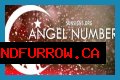 
Repeating Angel Numbers - 6's and 9's  (6699, 6669, 6969, 66699 etc)
