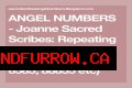 
Repeating Angel Numbers - 8's and 2's  (8822, 8282, 88822 etc)
