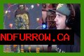 Summit1g trolled by DayZ modders invading his game with Christmas trees