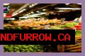 Who Owns Sprouts? – Sprouts Company History